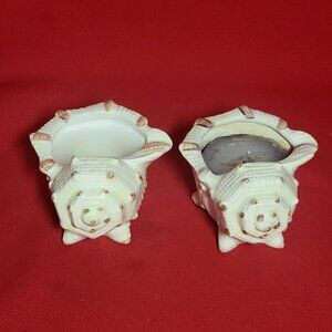 Ceramic Shell Candle Holder Set of 2